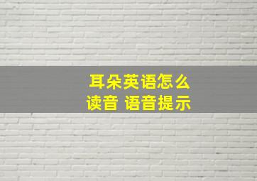 耳朵英语怎么读音 语音提示